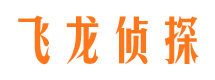 辉南市场调查